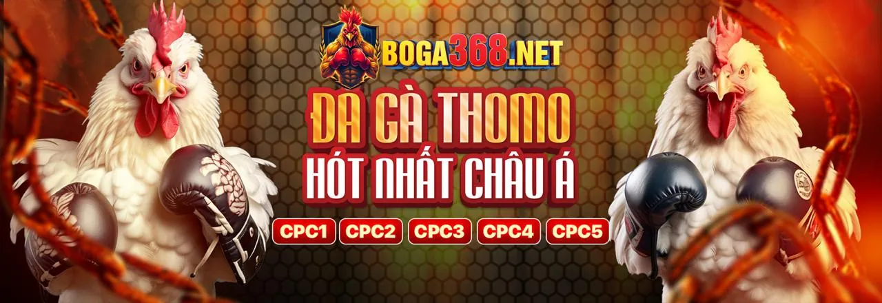 Giao diện SBOBET App trên điện thoại di động