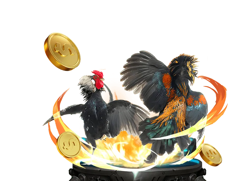 Khuyến mãi hoàn trả hàng ngày SBOBET App