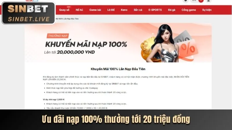 Hoàn trả casino hàng tuần SBOBET App